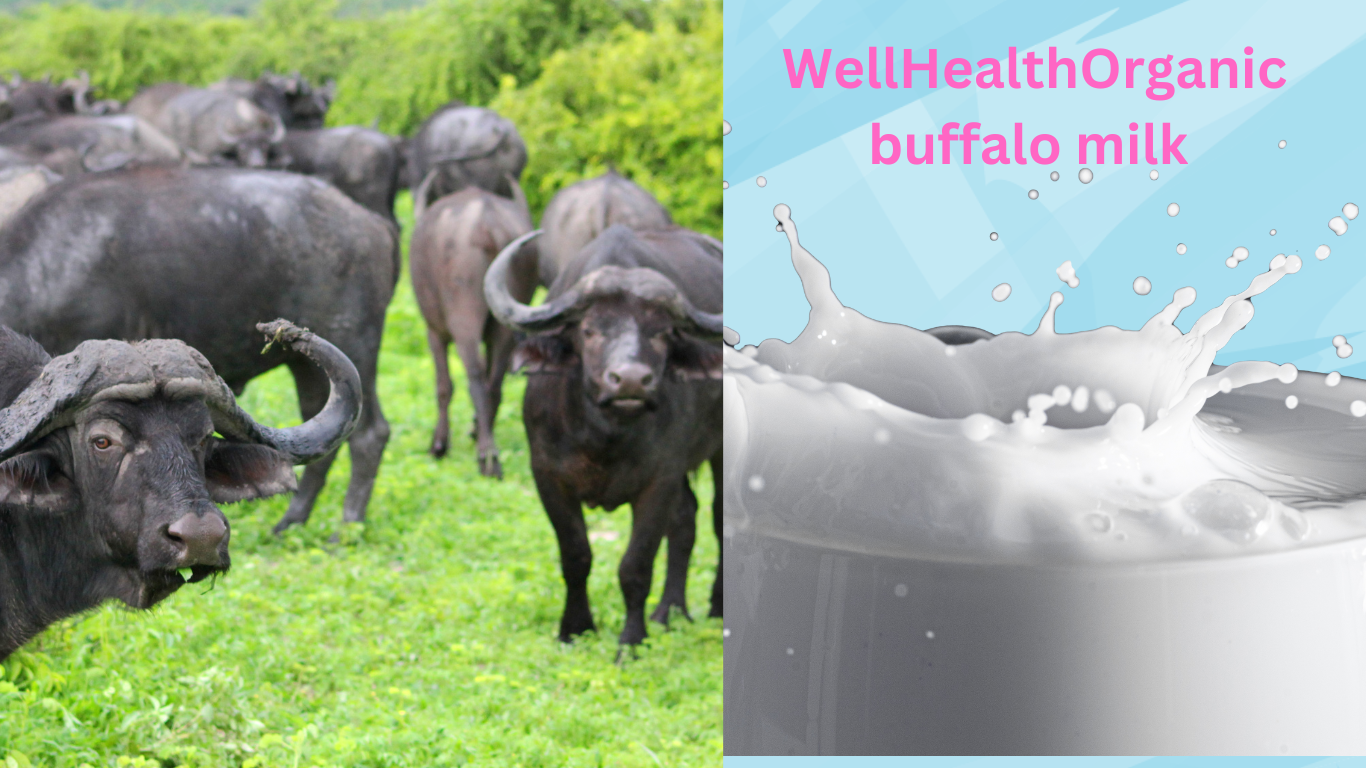 WellHealthOrganic Buffalo Milk Tag